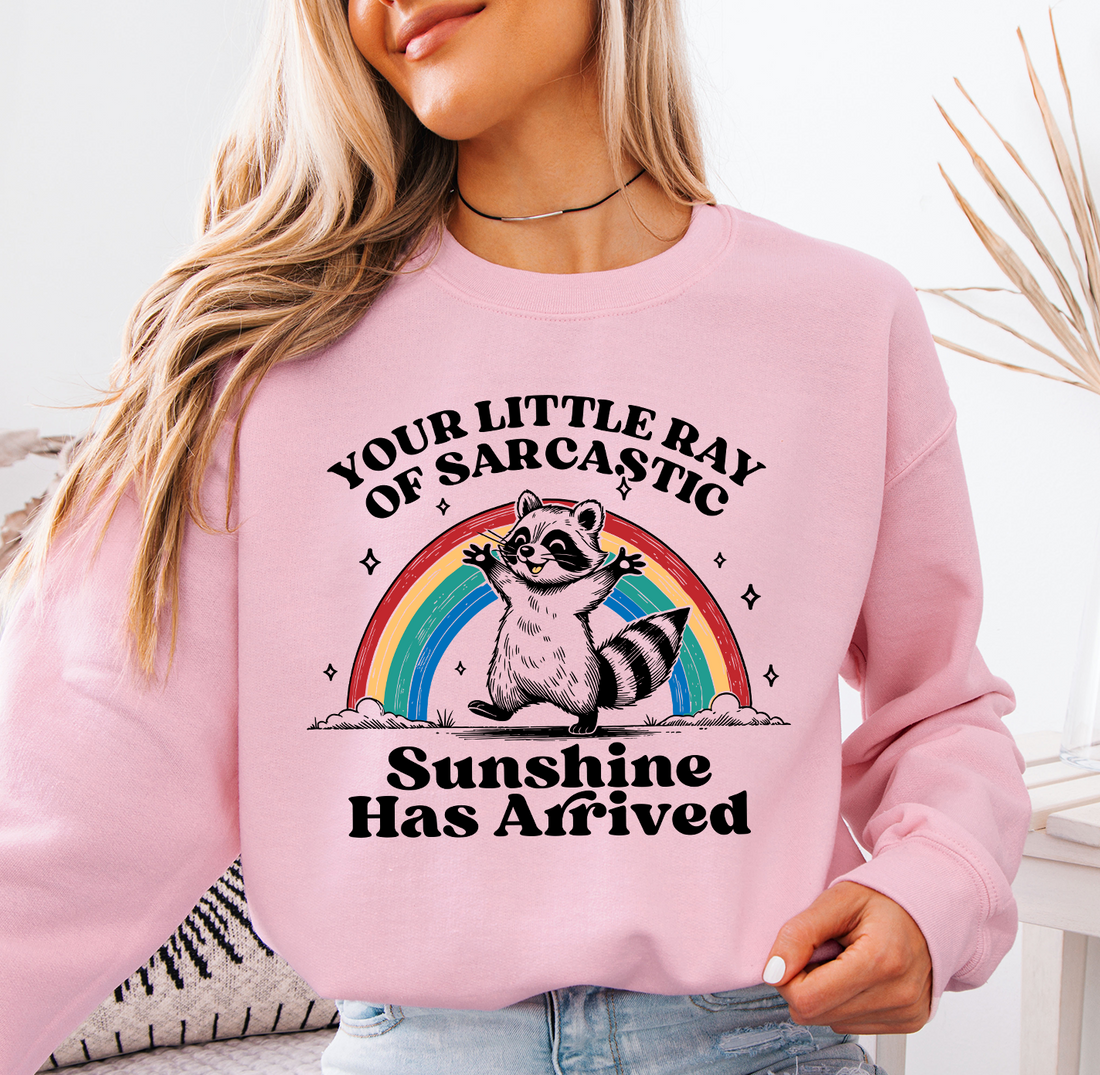 Little Ray Of Sarcastic Sunshine Sweatshirt